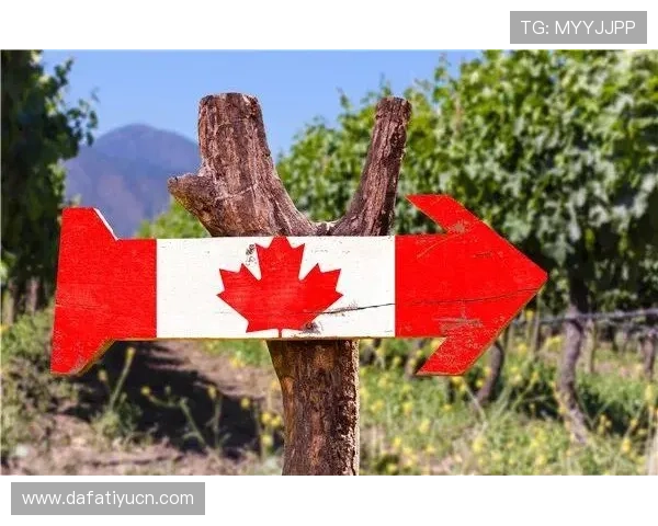 大发彩票大厅常见问题解答，帮助新手快速上手游戏流程